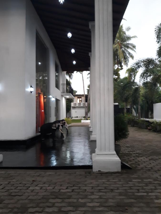 The Kingston Hotel Kiribathgoda Exterior photo